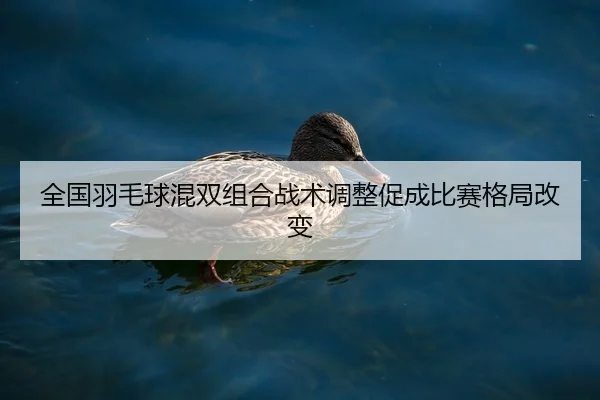全国羽毛球混双组合战术调整促成比赛格局改变
